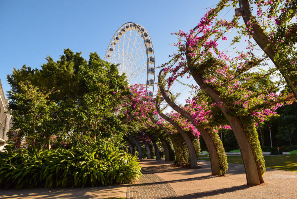 Roda gigante em Brisbane.