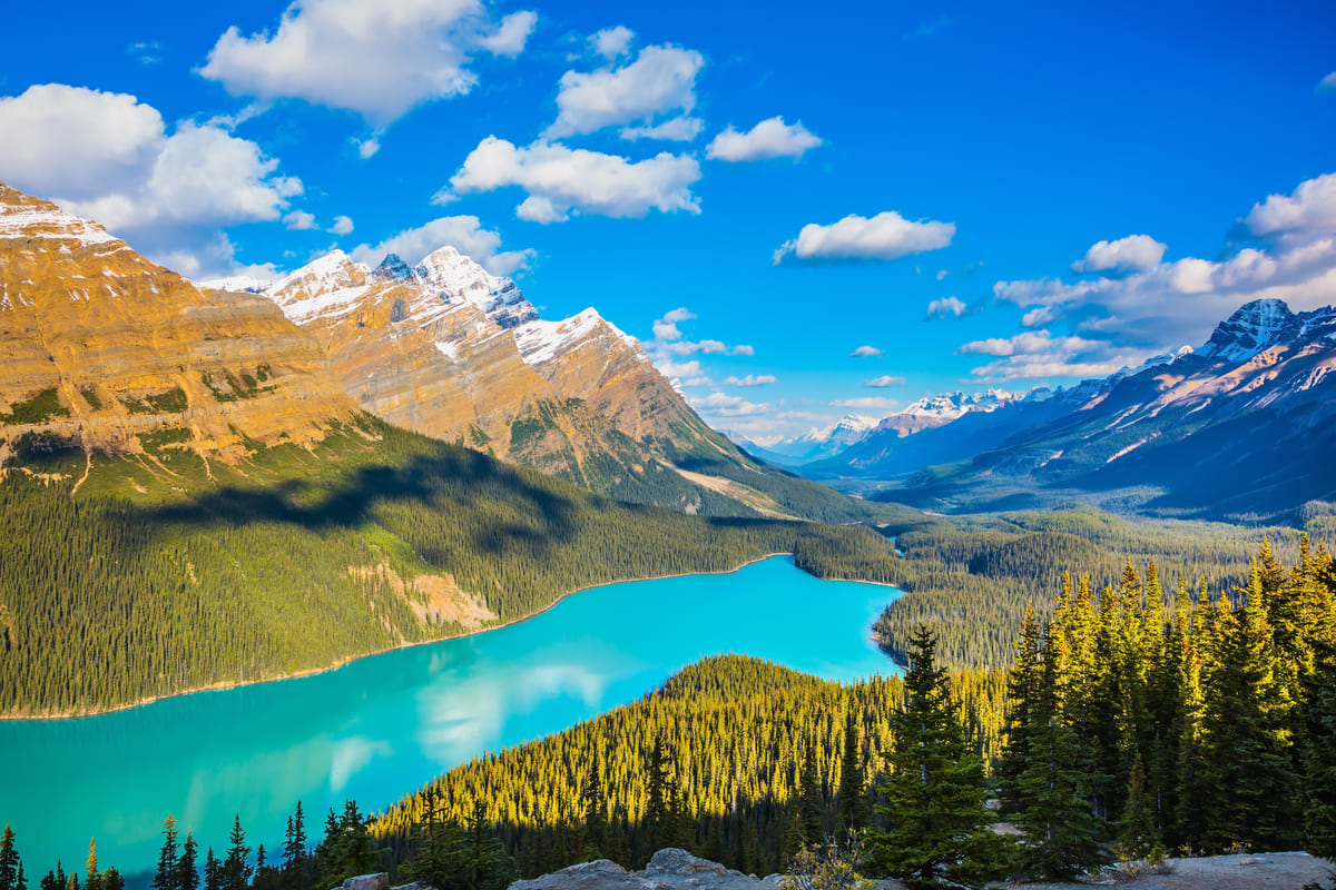 Lago Peyto visto de cima.